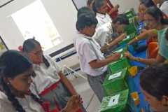 Election-Day-13