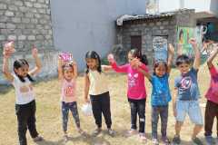 holi-14